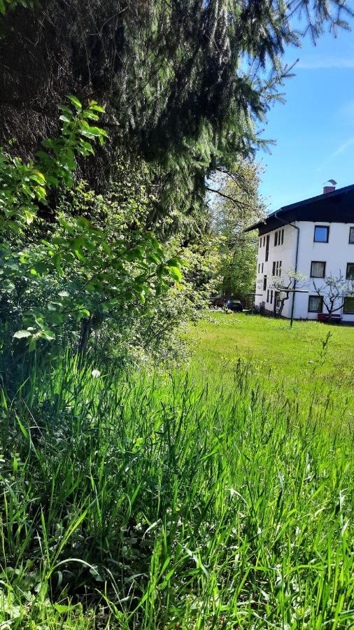 Gaestehaus Post Aigner Greifenburg Εξωτερικό φωτογραφία
